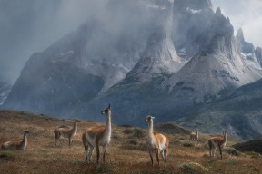 华体会登录-巴萨关键战突围波兰铁骑，贝林厄姆闪耀全场却难救主