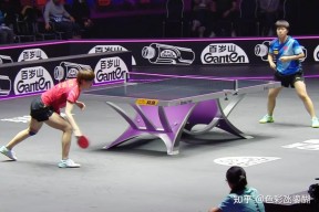 华体会app-关于中国乒乓球队完胜德国乒乓球队，波尔绝境逆转的信息