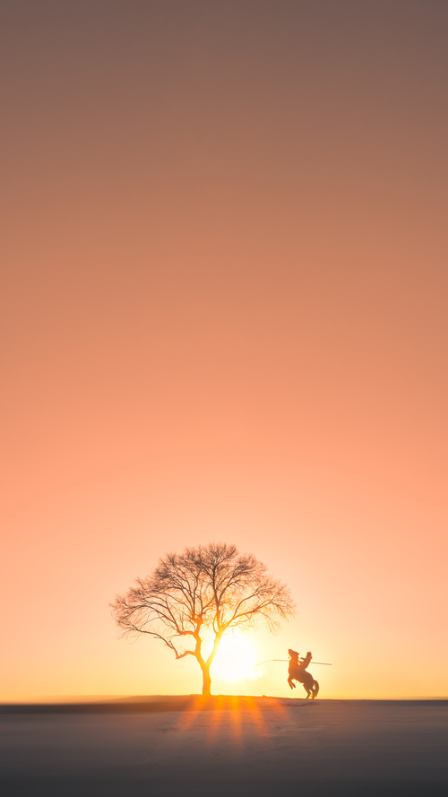 华体会app-马克西单核操控全局！掘金粉碎篮网背后，暗藏新一代控场大师的诞生  第1张