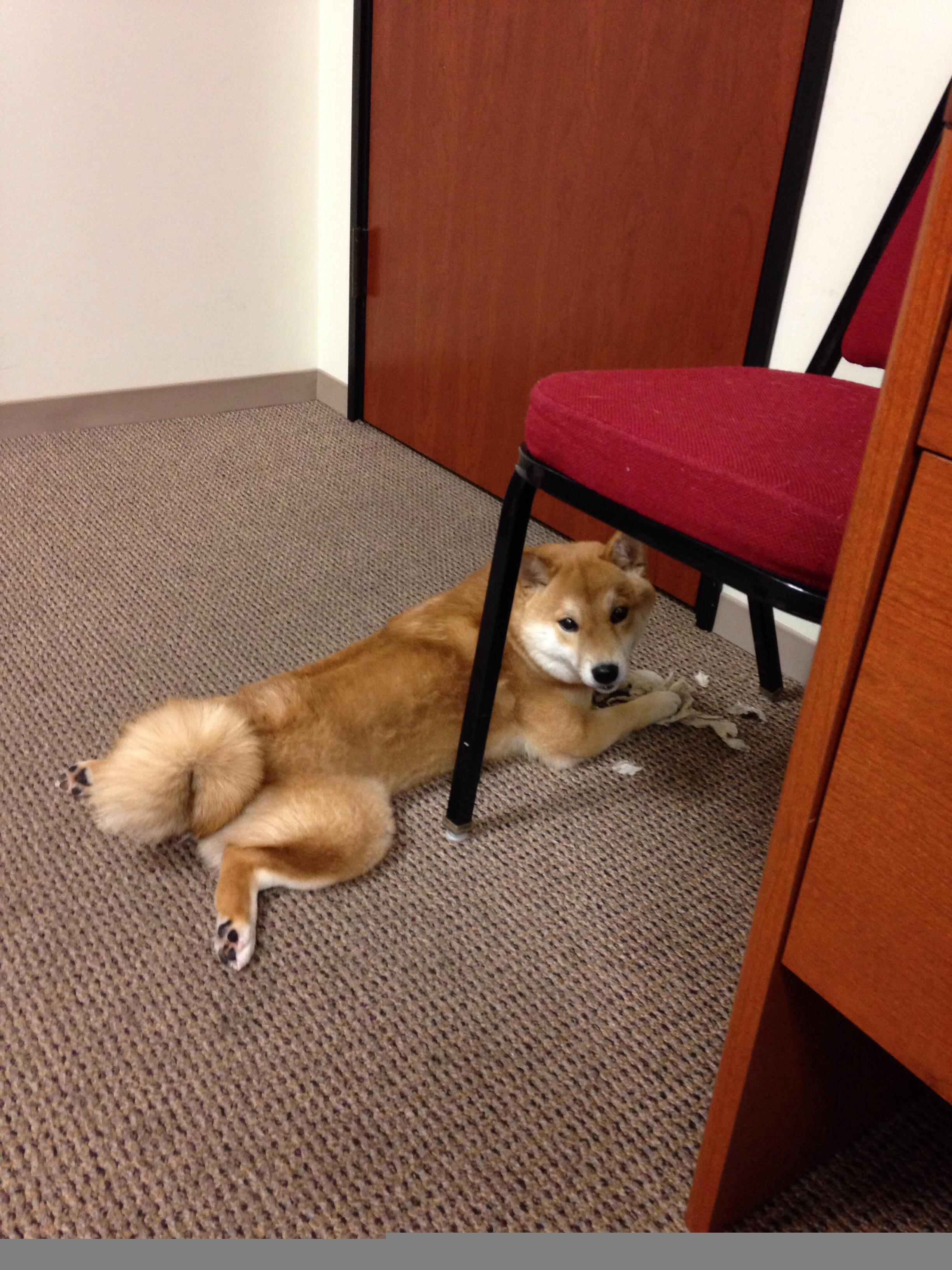 华体会hth-跨洋炮火映天山,范弗利特单骑破阵,76人客场斩落新疆豪取十五连胜 第1张 华体会hth-跨洋炮火映天山,范弗利特单骑破阵,76人客场斩落新疆豪取十五连胜 第1张