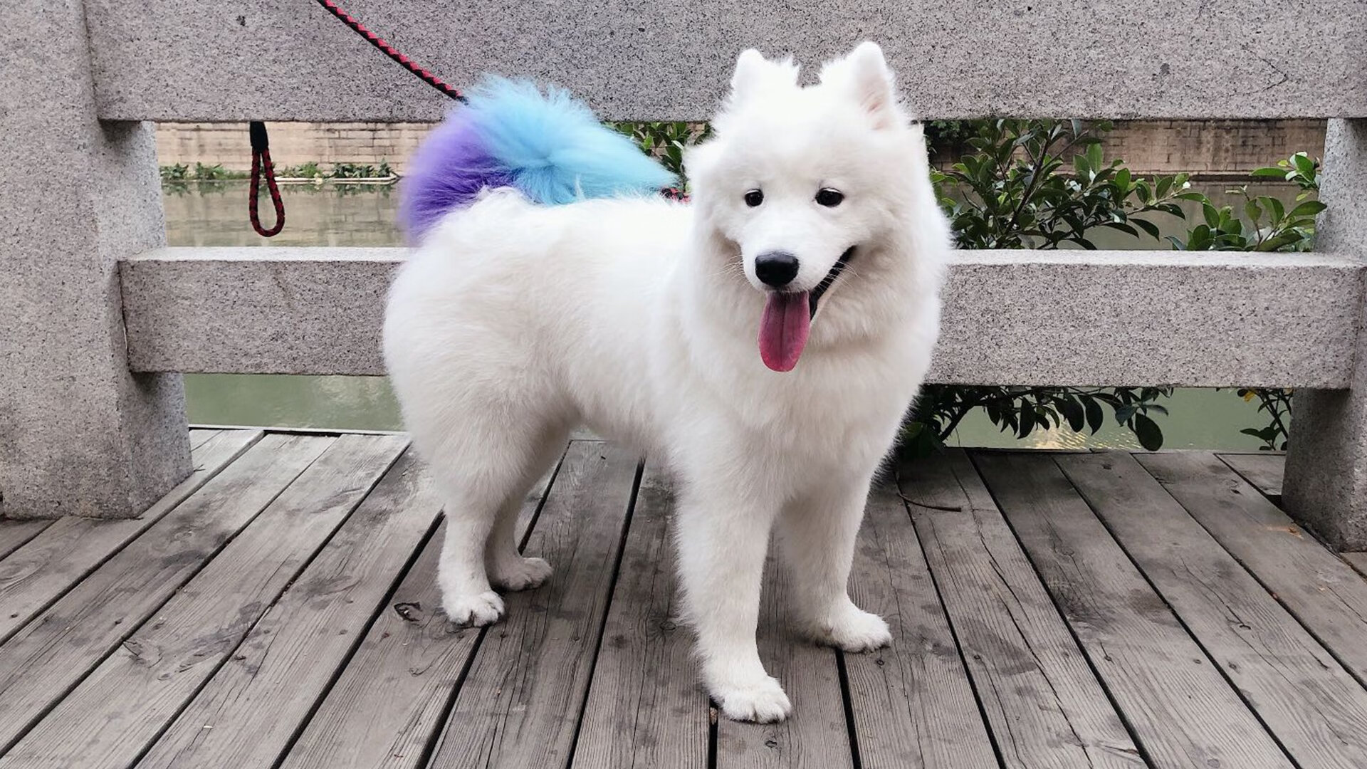 华体会app-跨越太平洋的篮球共鸣,马克西的爆发夜与浙江队的突围战 第1张 华体会app-跨越太平洋的篮球共鸣,马克西的爆发夜与浙江队的突围战 第1张